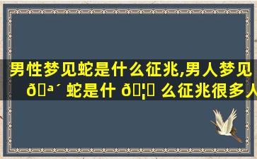 男性梦见蛇是什么征兆,男人梦见 🪴 蛇是什 🦉 么征兆很多人不知道